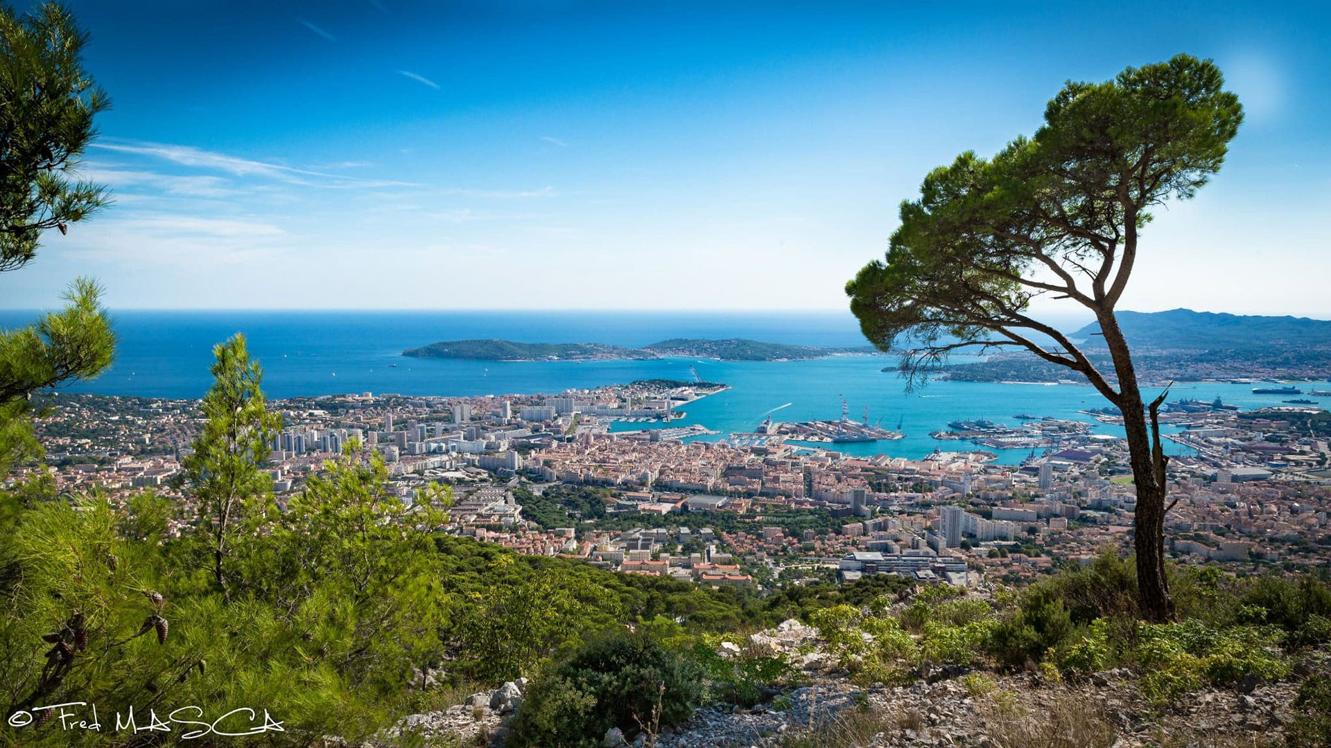 assurance auto toulon